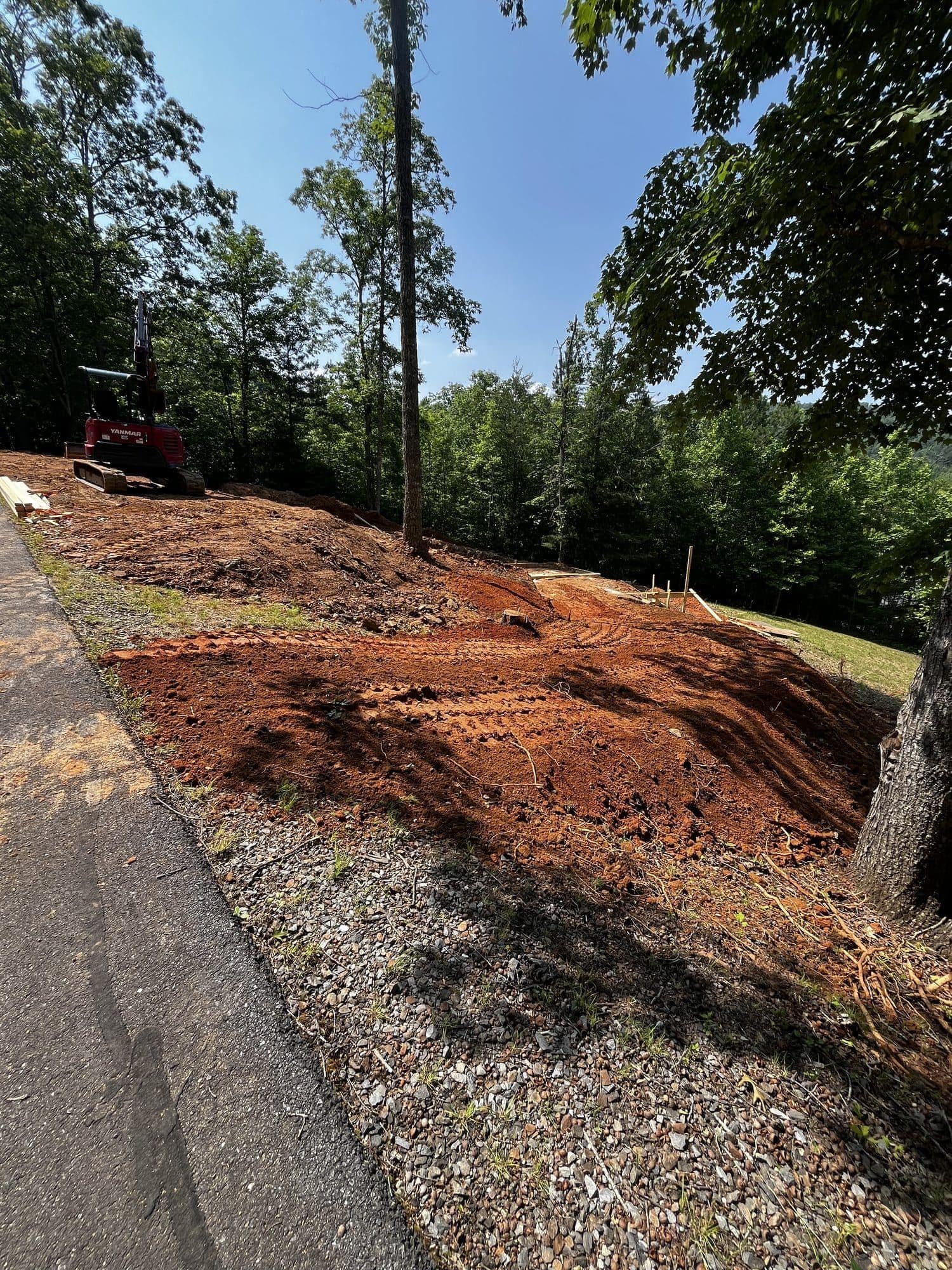 Cleared and graded slope beside a gravel drive